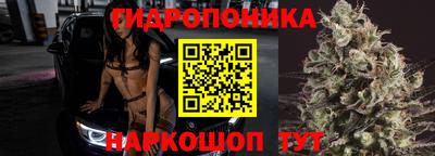 прущие крисы Краснокаменск