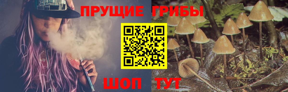Киселёвск  Псилоцибиновые грибы мицелий  Вход с VPN  Галлюциногенные грибы мухоморы 